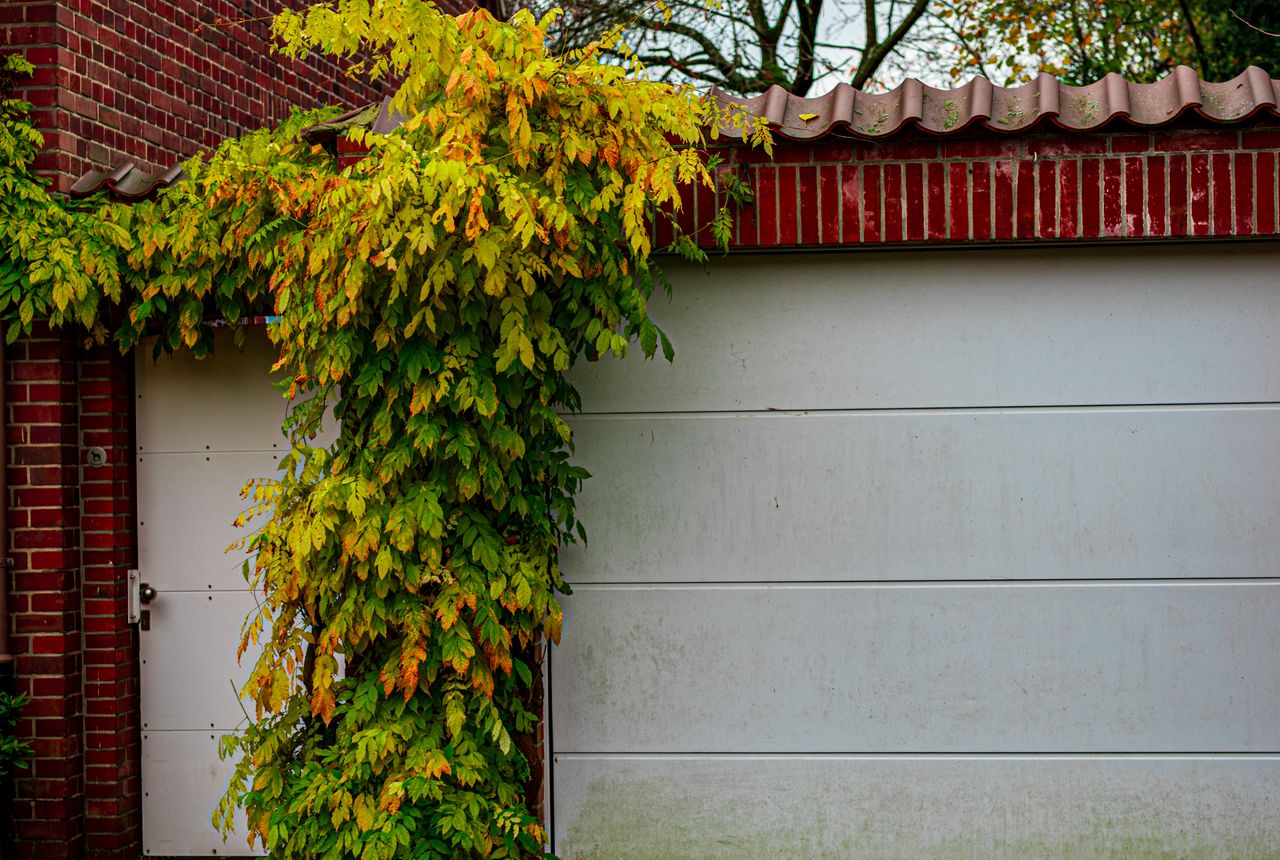 Garage door service in Naples, FL
